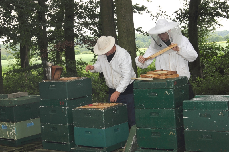 Beuten am Waldrand